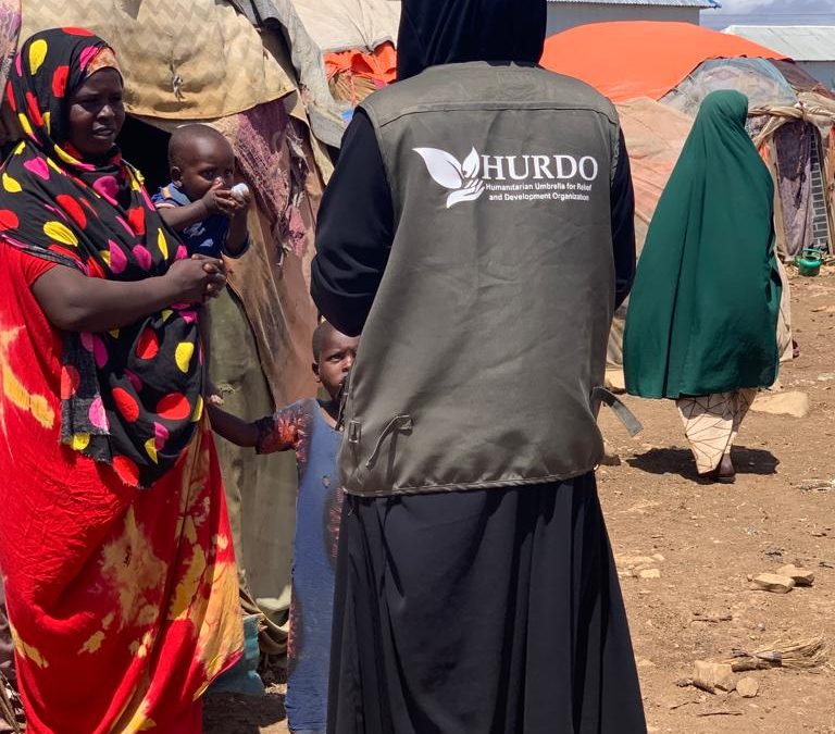 Assessing the situation of the NDPs in Baidoa